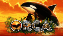 Orca logo
