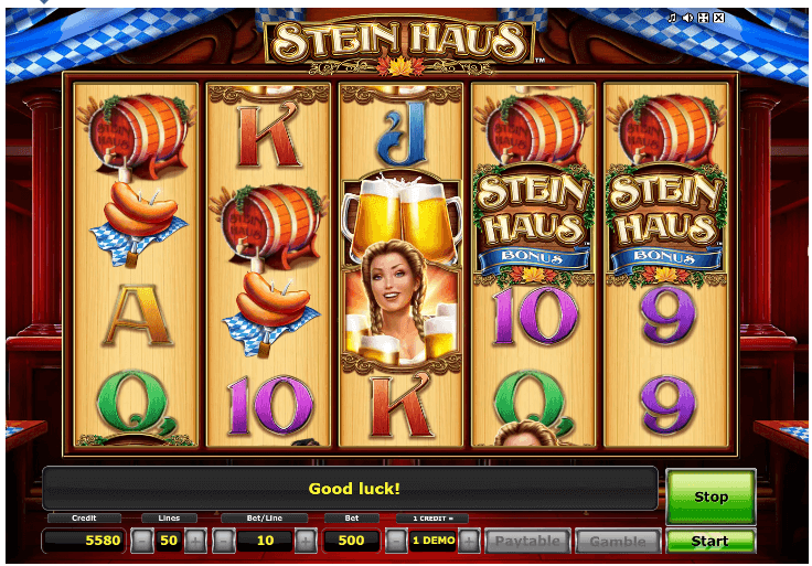 Steinhaus Slot Screen