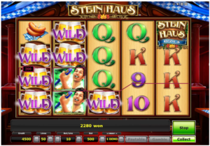 Steinhaus Wild