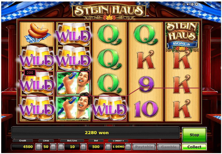 Steinhaus Wild