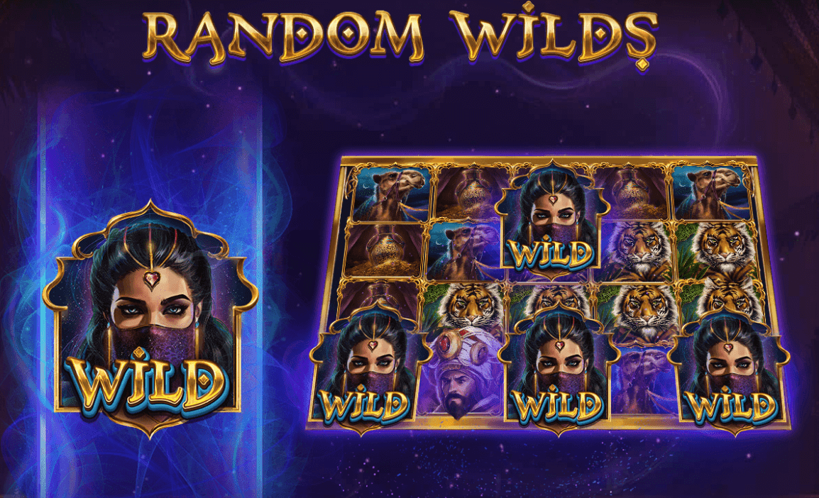 Wild Symbole