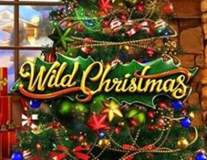 Wild Chrismas teaser