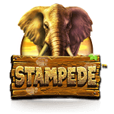 Stampede logo