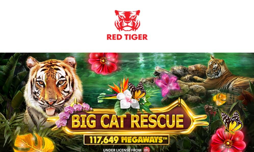 Big Cat Rescue