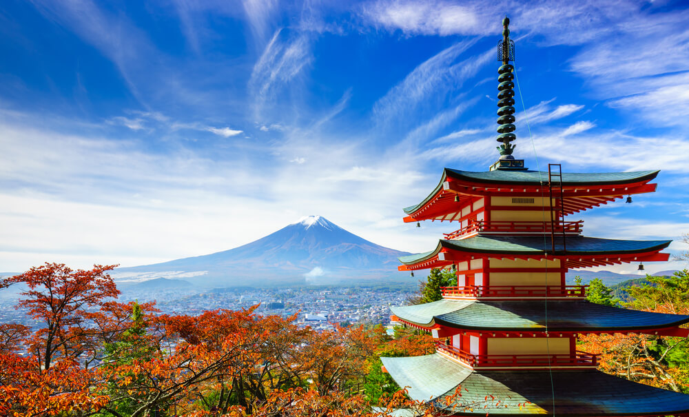 shutterstock 230107657
